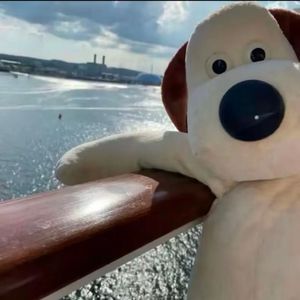 新宝岛（0.9x）天狗食兔版