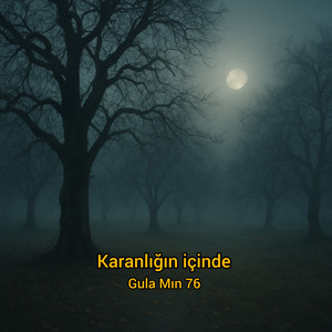 Karanlığın İçinde