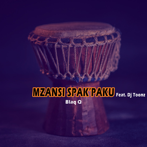 Mzansi Spak'paku (feat. Dj Toonz)