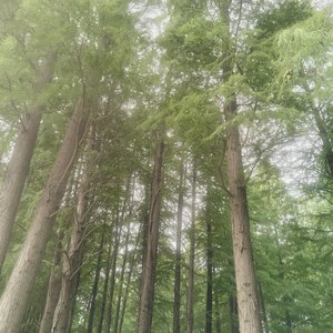 忘了牵手1.0（翻自 无）