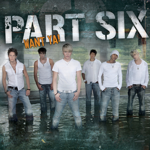 Want Ya! (Parklane's Electronic Reggaeton Remix)