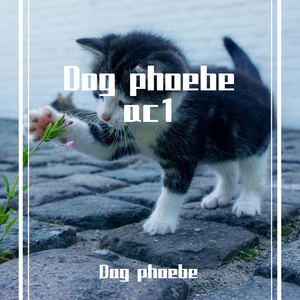 11t-op1（Dog phoebe remix）