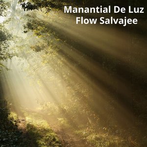 Manantial de Luz