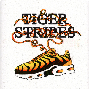 Tiger Stripes