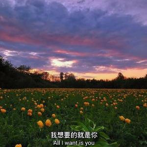 空城里 Demo