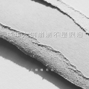 成年人的崩溃不是眼泪