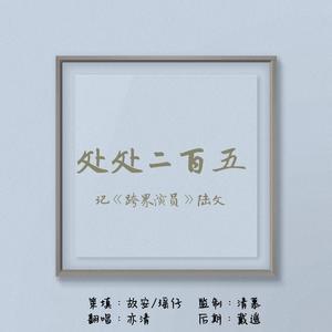 处处二百五——记《跨界演员》陆文