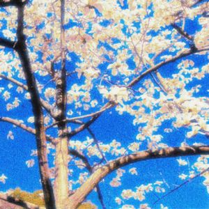 AutumnGroove(LJones Tribute)