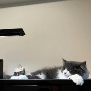 黄绮珊（小霞）-我的美丽 (feat.PO8) (Remix)（RainZ / 黄绮珊（小霞） / P08 remix）