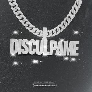 Dsiculpame
