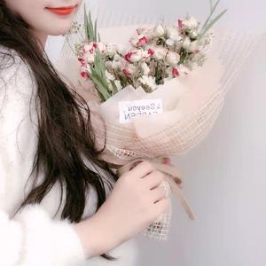 关于南方破碎的理想