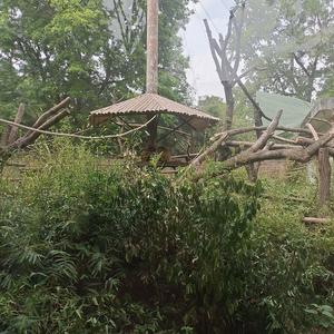 风知道我有多爱你–阿海