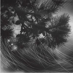 full of it...love, that is