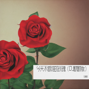 今天不做谁的玫瑰