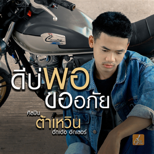 ดีบ่พอขออภัย