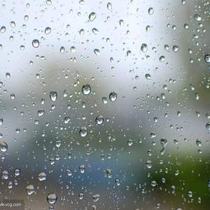 冬季到台北来看雨（Cover 孟庭苇）