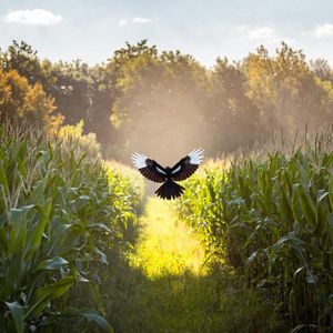 【FREE】“逝去”/叙事/ trap / tybe beat