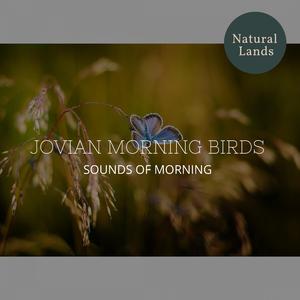 Upbeat Tropical Birdsong at Dawn