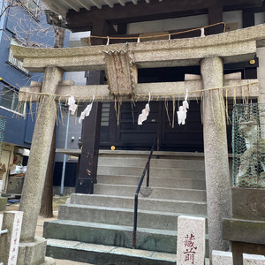 初陣の朝、永訣の夜