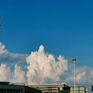 Blooming season (治愈钢琴曲)