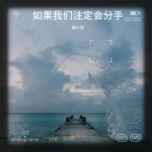 如果我们注定会分手