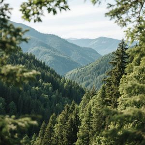 山川秀美入画屏