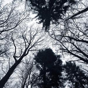 WHERE DID I GO WRONG (feat. TJDUB)