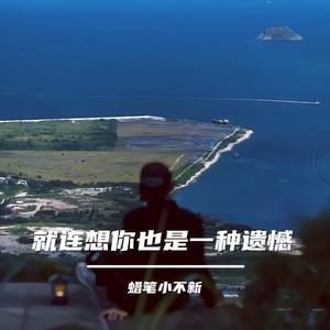 就连想你也是一种遗憾