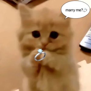 写他 （Prod@Freeboy_YAN）