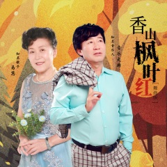 香山枫叶红 (舞曲版)