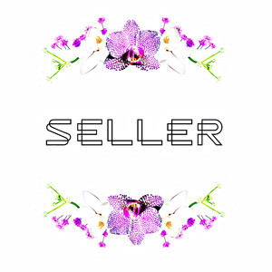 Seller