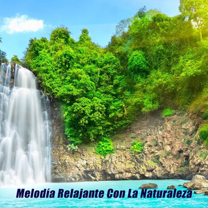 Mejora La Creatividad Y Te Relaja