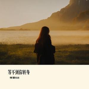 等不到你转身