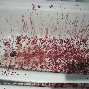 кроны расправились под воздействием осени