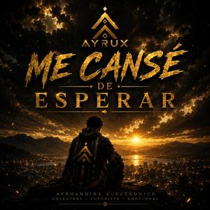 Me Cansé de Esperar