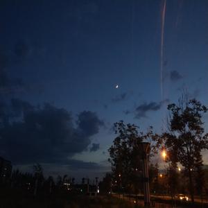 蔷薇（翻自 SNH48袁一琦）