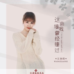 这南墙我曾经撞过 (DJ版)