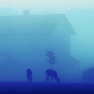 All the People You'll Never Know