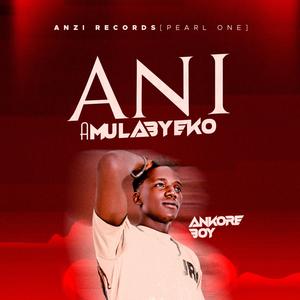 Ani Amulabyeko