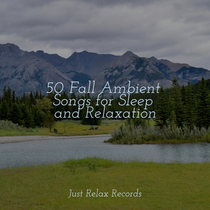 Whispers of the Sylvan Trail