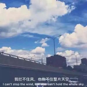 落日与鲸（治愈女生版）（翻自 鬼鬼Gmer）