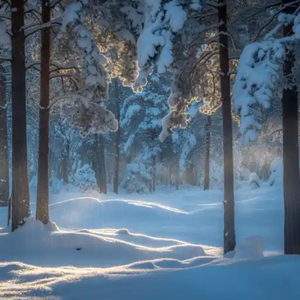 현실 파악 금지
