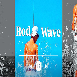Rode Wave
