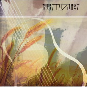 《Cavatina》卡伐蒂娜（Cover 塞戈维亚）