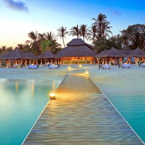 那天我经过一片花园可是你不在