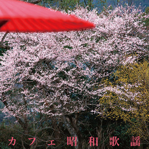 悲しくてやりきれない