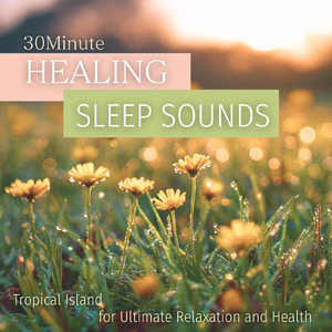 熟睡ギターBGM 睡眠の質を高めるヒーリング音楽 (自律神経を整える睡眠用 森 鳥)