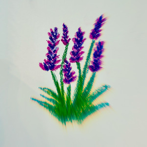 Lavender