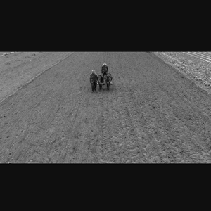 那个喝醉的夜晚挡不住我们的步伐