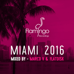 Flamingo Miami 2016 (Continuous Mix By Flatdisk)